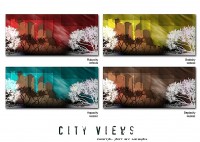 /album/gallery-two/city-views-1-jpg/